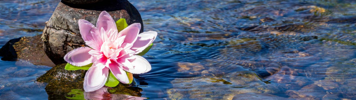 Detox-Body-Mind-and-beyond-neu